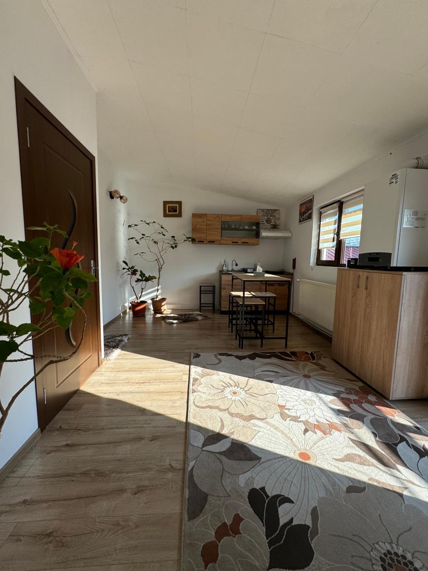 Victor Residence 38 Бухарест Экстерьер фото